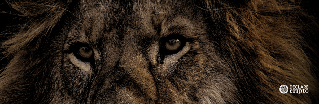 Relatório da Receita Federal sobre cripto aponta: O Leão está de olho!