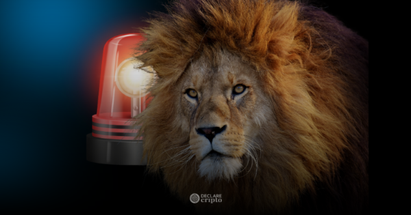 Não Declarou suas Criptomoedas? Saiba os Riscos